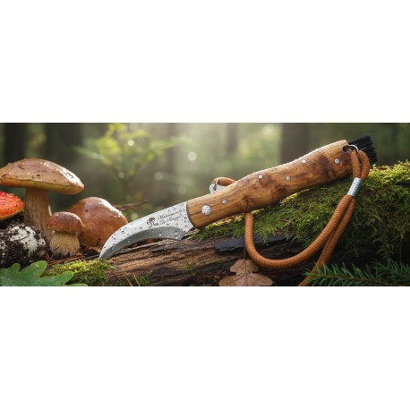 Teak Wood Mushroom Knife - Foldable Handle, Premium Quality Pakistan Knives for Sale on Alibaba