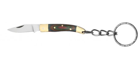 Porte-clés fish - multi