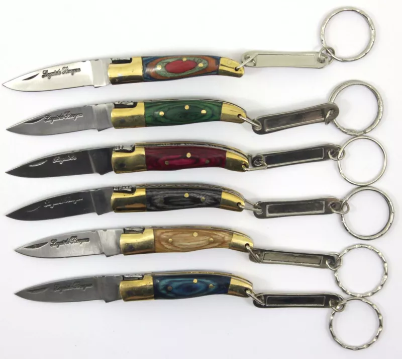 Rainbow Wood Handle Folding Knife Keychain Gift Set – 6 cm Handle, Brass Bolster
